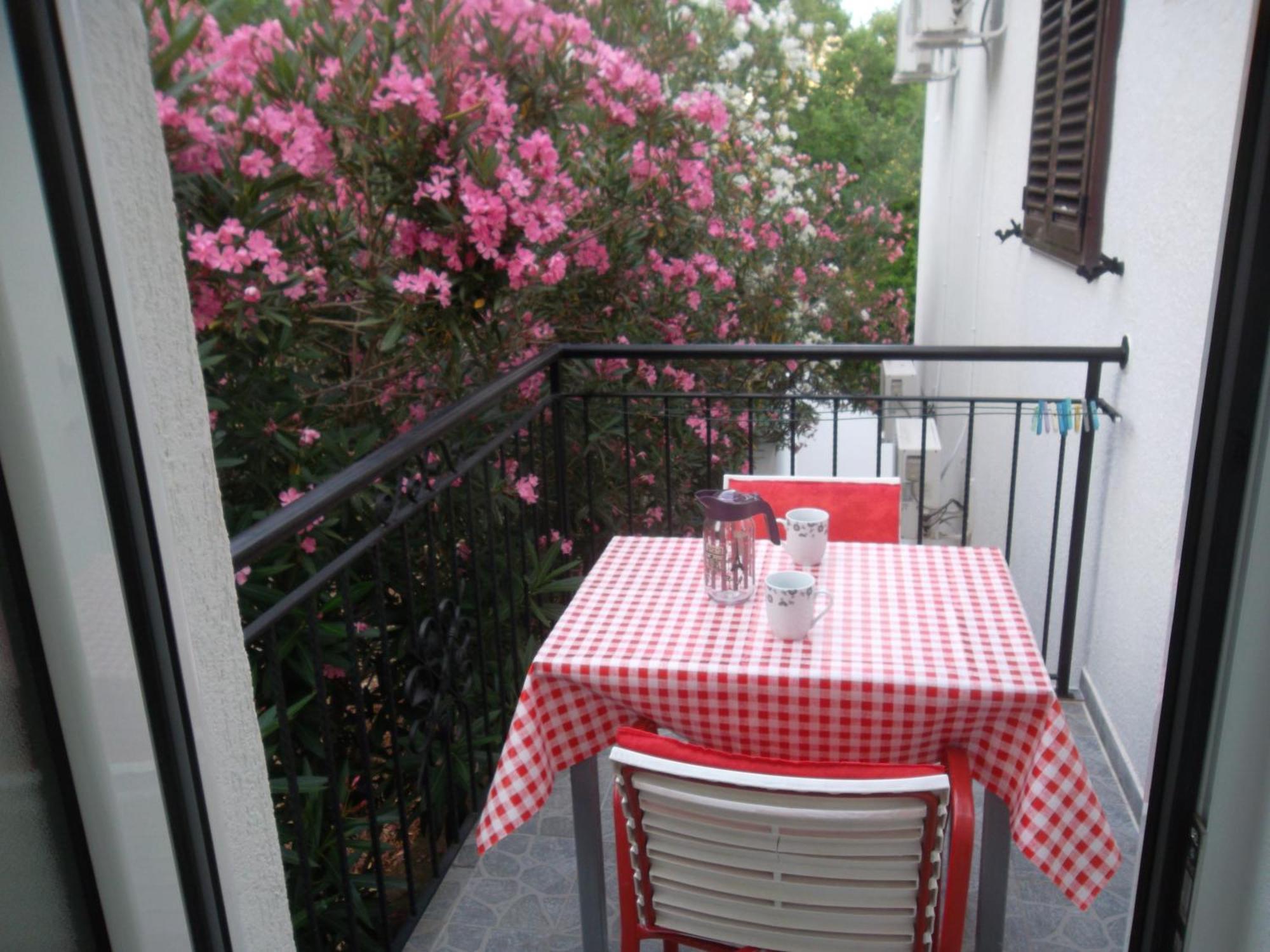 Guest House 4M Petrovac Habitación foto