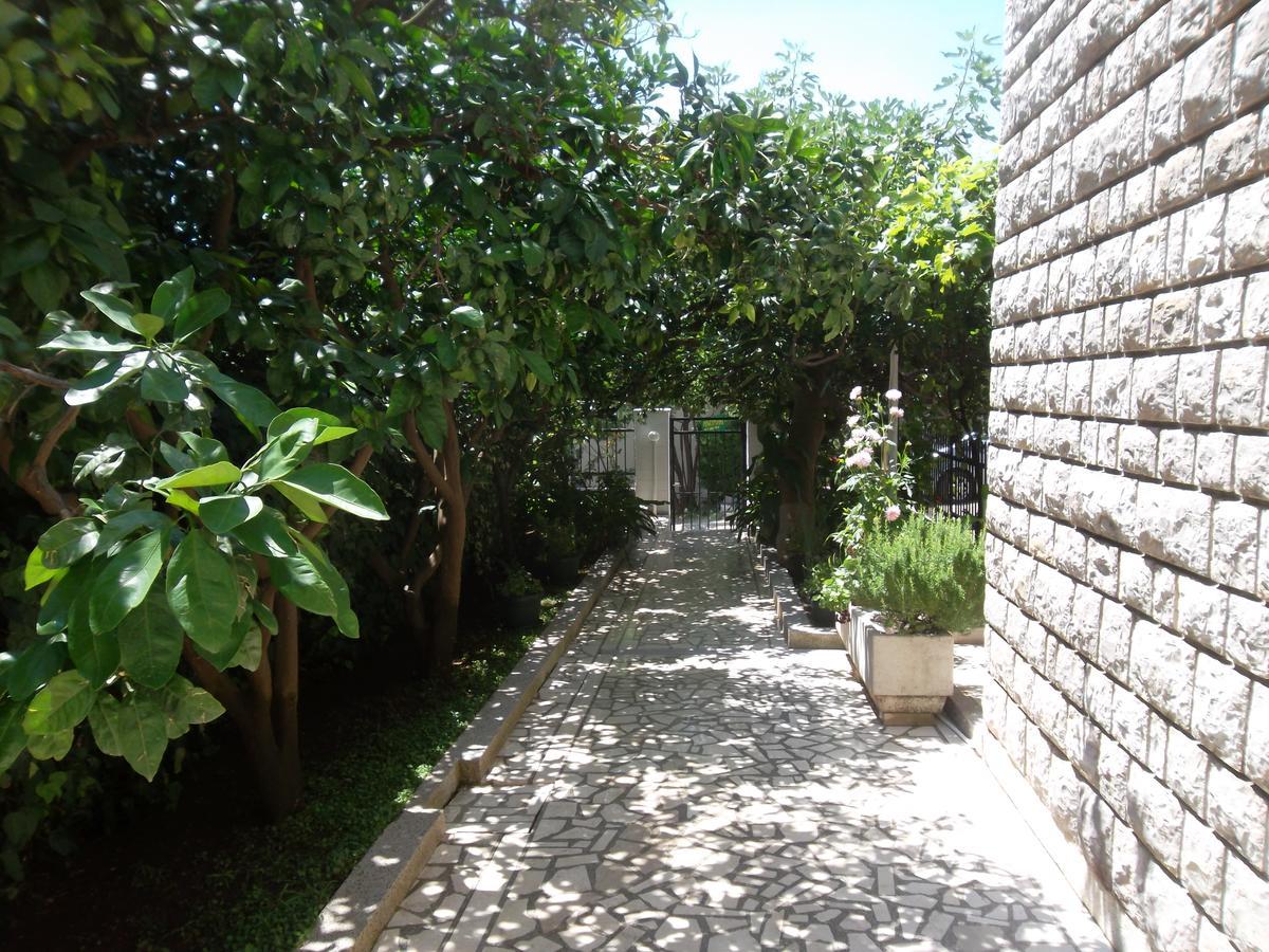 Guest House 4M Petrovac Exterior foto