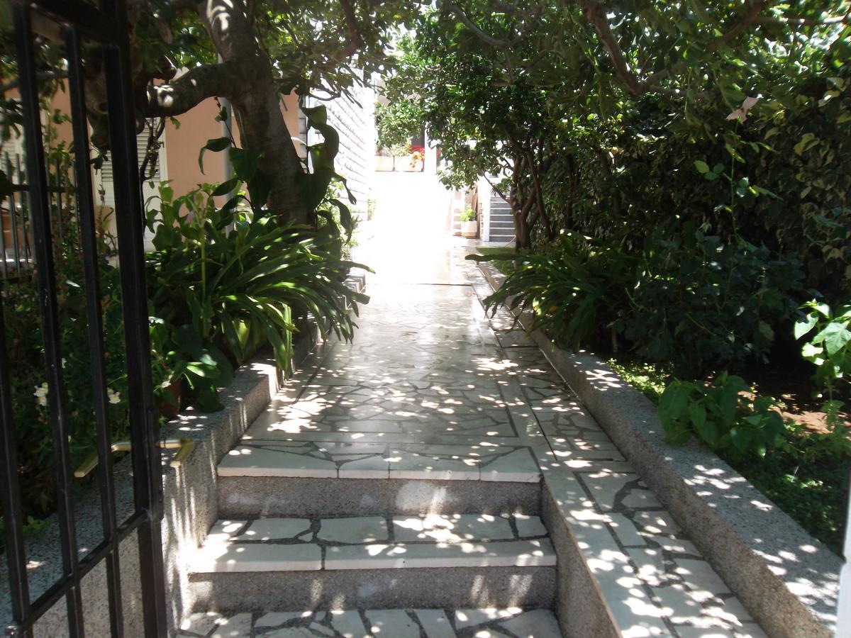 Guest House 4M Petrovac Exterior foto
